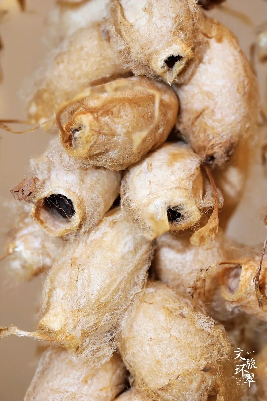 微信图片_20230509103111.jpg 微信图片_20230509103111.jpg