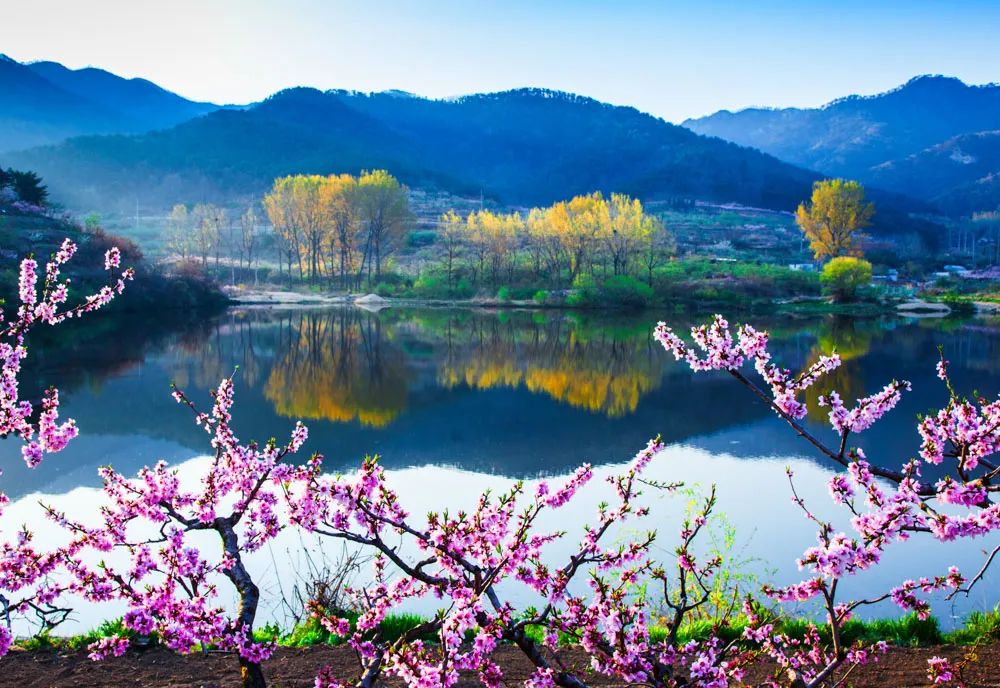 640 (3).jpg 640 (3).jpg